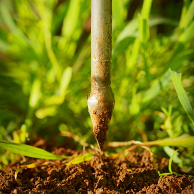 Leitura com penetrômetro
