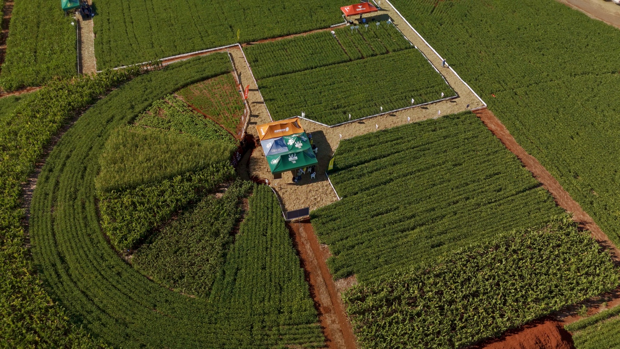 Vista aérea de ensaio agrícola